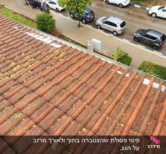 גג רעפים אדום עם כתמים צהובים ונעל על הגג